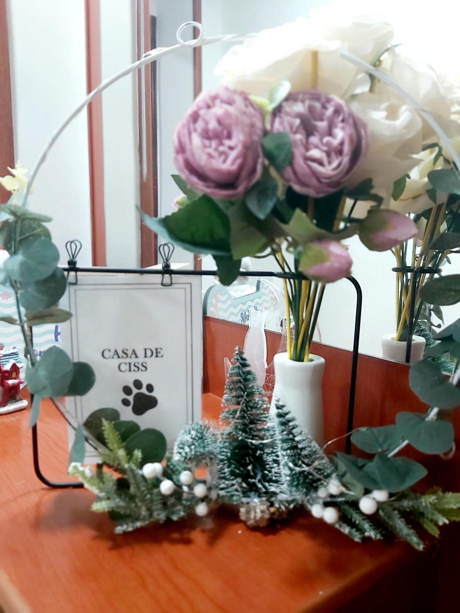 马德里Casa De Ciss公寓 外观 照片